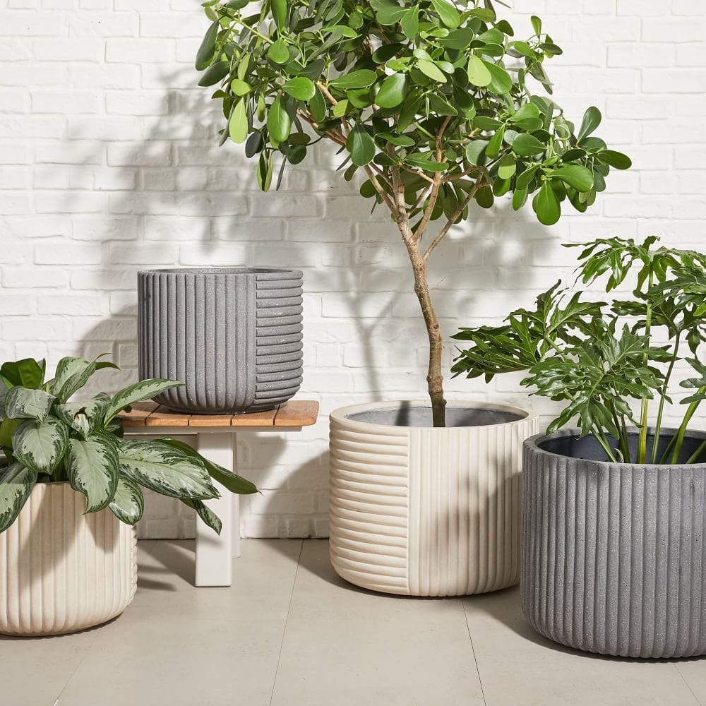 potted plants outdoor and garden
