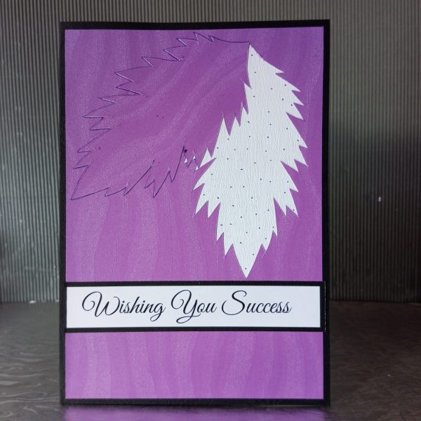 Examination Success Card