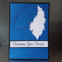 best success card Personalised Exam Success Cards