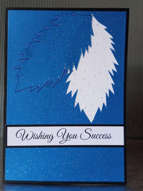 Personalised Exam Success Cards