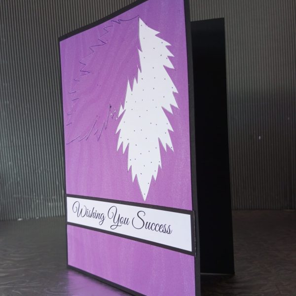 examination success card