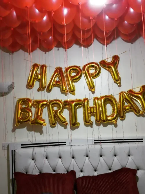 Birthday Surprise Decorations