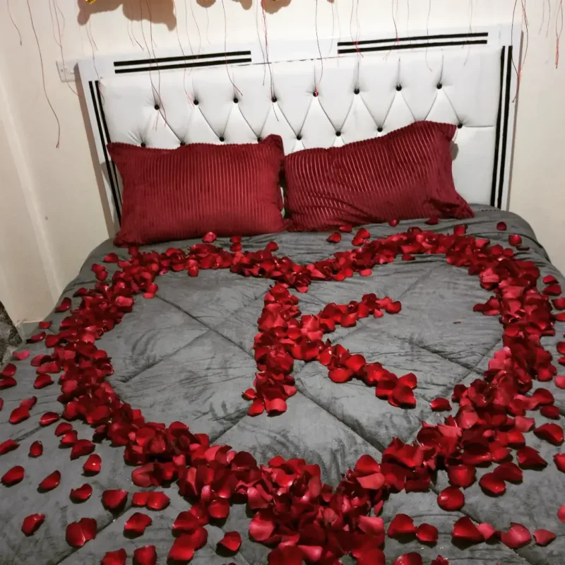 Birthday Surprise Decorations