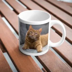Cat Coffee Mug