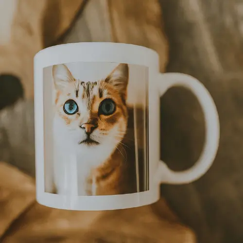 Custom Cat Mug