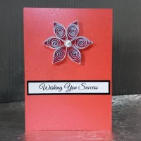 Red Success Card