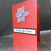 Red Success Card