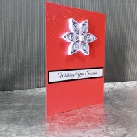 Red Success Card